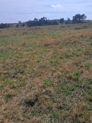 Farm For Sale in Nigel, Nigel